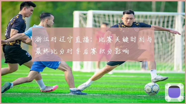 浙江对辽宁直播：比赛关键时刻与最终比分对季后赛积分影响