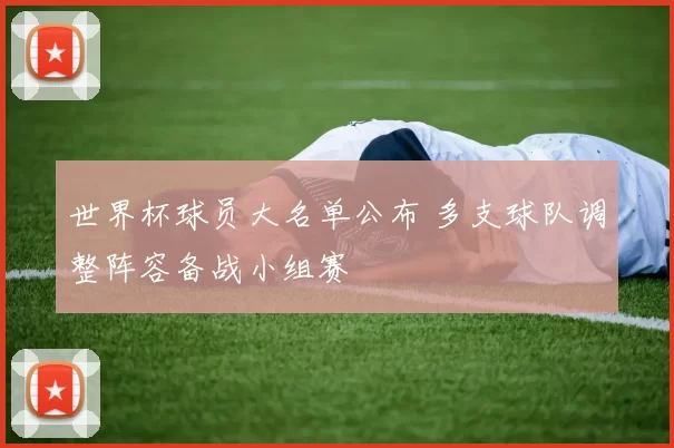 世界杯球员大名单公布 多支球队调整阵容备战小组赛