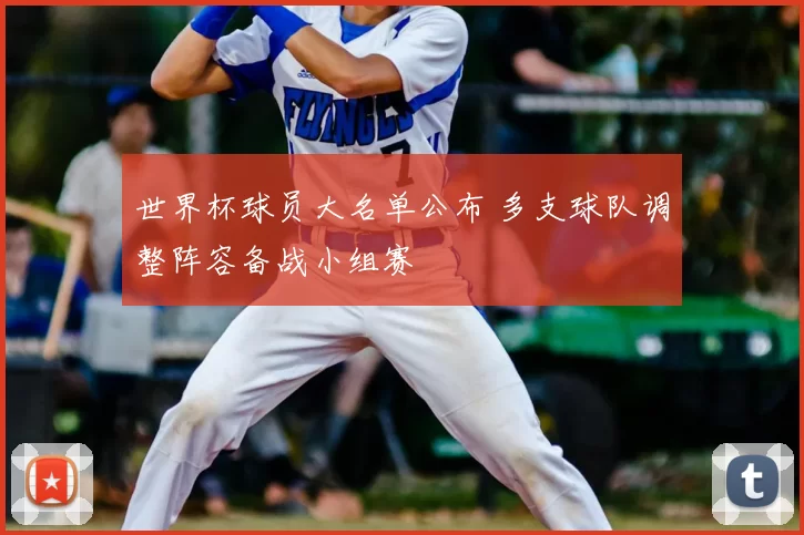 世界杯球员大名单公布 多支球队调整阵容备战小组赛