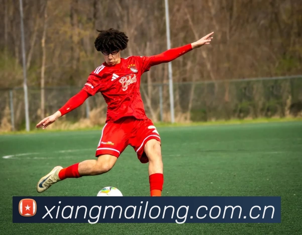 开云(Kaiyun) - 中国官方服务平台服务体系