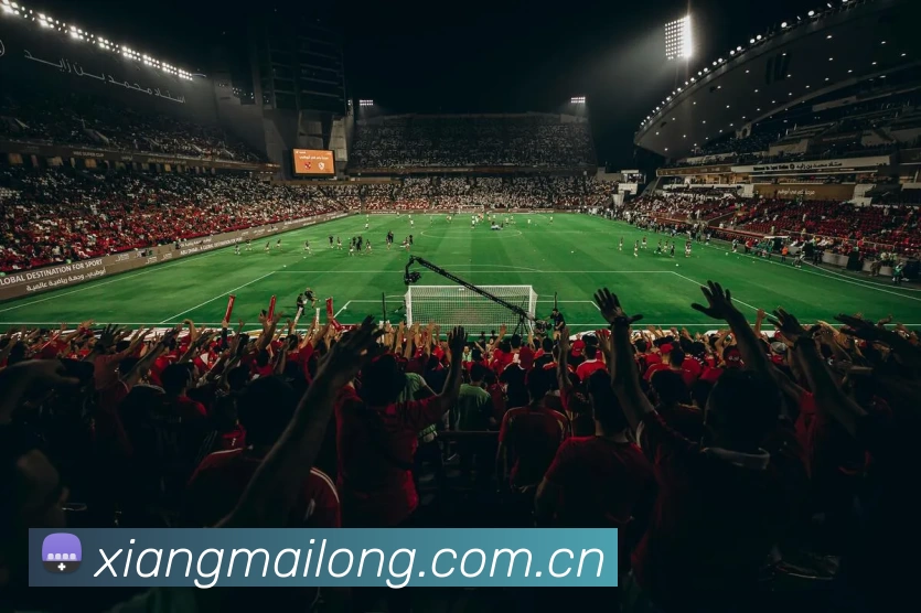 多媒体互动体验